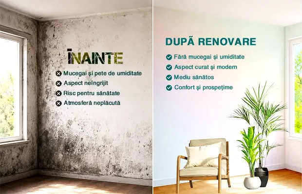 Eliminare mucegai pereți cu Emex Mucegai negru pe perete interior
